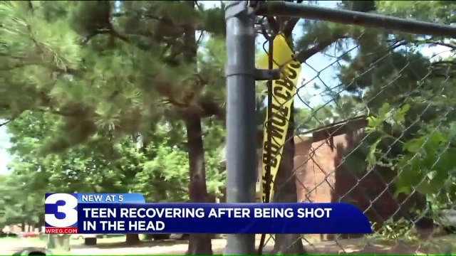 Teenager Recovering After Being Shot in the Head Over Girl, Police Say