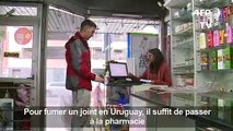 Cannabis récréatif en pharmacie: un an après, bilan en Uruguay