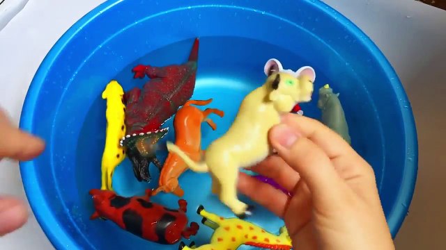 Learn Sea Animal Names Farm animal names and Zoo Animal Names Education Video For kids