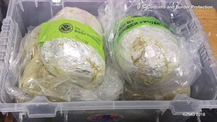 Nearly 10 Lbs. of Heroin Found in Egg-Shaped Packages at JFK Airport