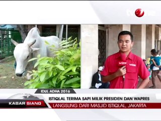 Masjid Istiqlal Terima Sapi Milik Presiden dan Wapres