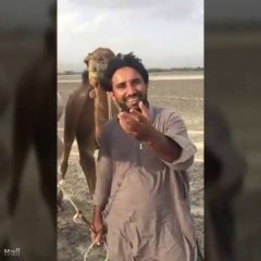 Hammal Shóház | Wadáray Nawbat | Balóchi