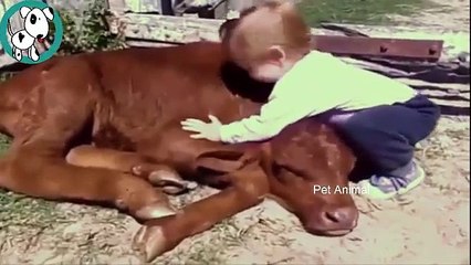 Animal hugs to their friends humans