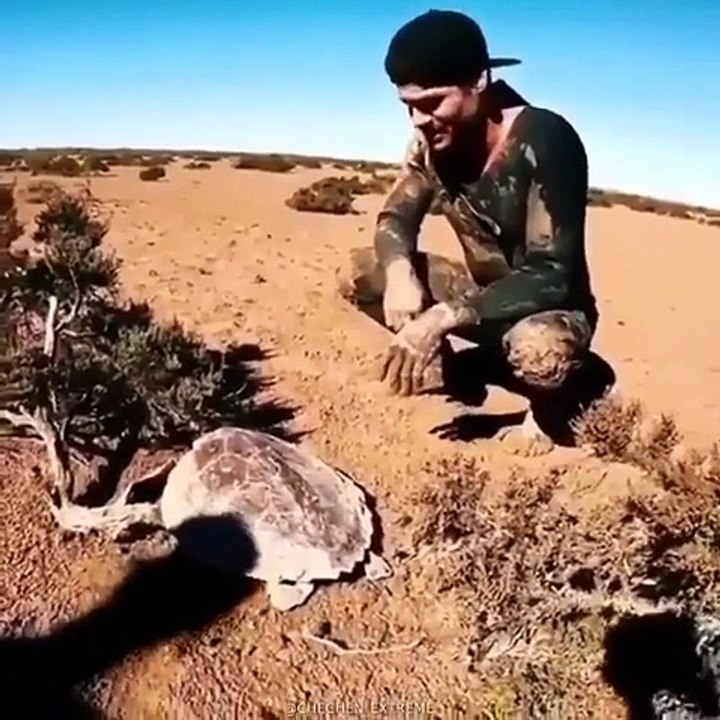 Guy saves turtle from extreme heat