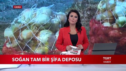 Sofraların Baştacı Soğan Şifa Deposu