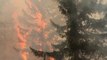 Firefighters Work to Contain Dozens of Fires Burning in Sweden