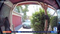 Woman Accused of Identity Theft Caught on Camera Prowling Neighborhood