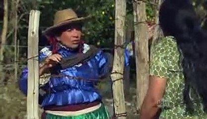 coração indomavel- capitulo 21