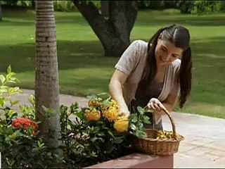 coração indomavel- capitulo 103