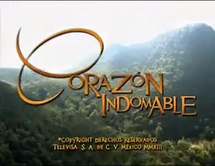 coração indomavel- capitulo 100