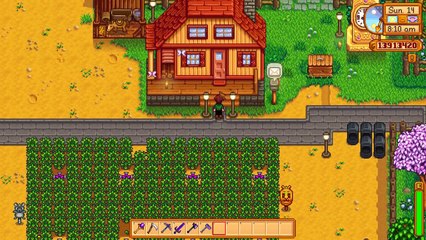 What Does The Strange Capsule Do? - Stardew Valley 1.3