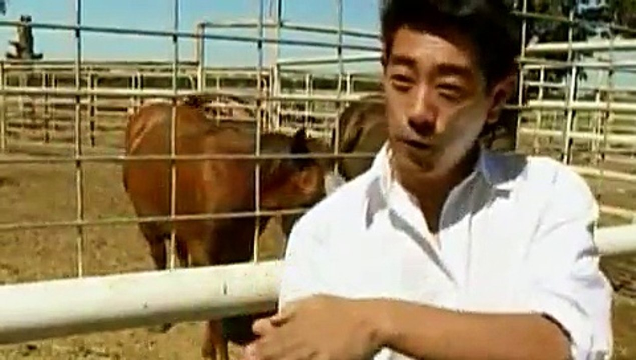 MythBusters S05E20 Exploding Water Heater video Dailymotion