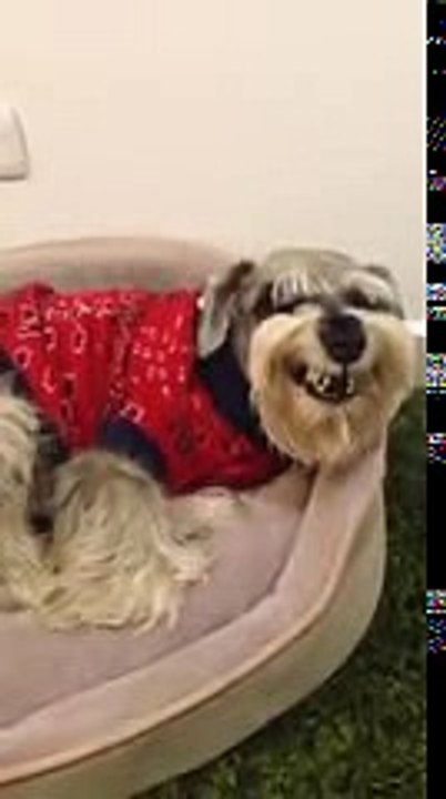 VID-20180712-WA0021