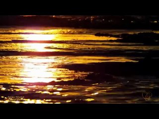 για σενα που αγαπω  συνθεση-μουσικη: Βασιλης Πιττας