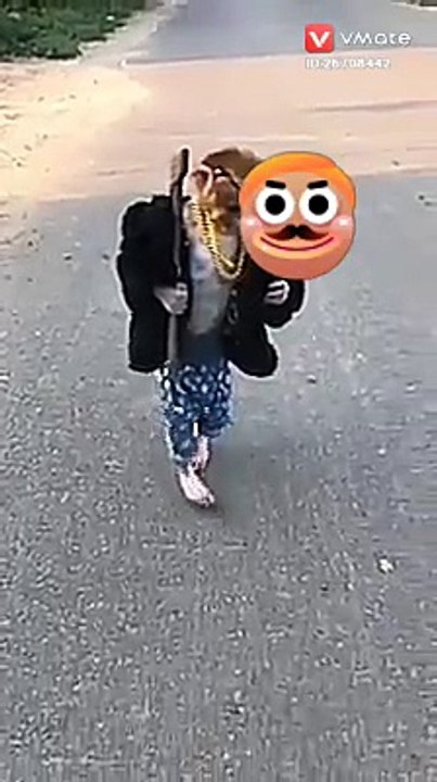 MONKEY MOON WALK