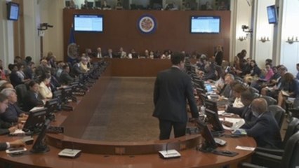 OEA pide a Ortega elecciones anticipadas, pero evita señalarle por violencia