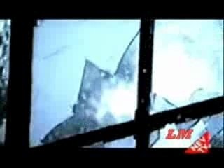 Davut Güloğlu-artı eksi