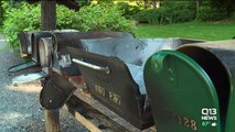 Moment Fireworks Bomb Destroys 7 Mailboxes Caught on Camera