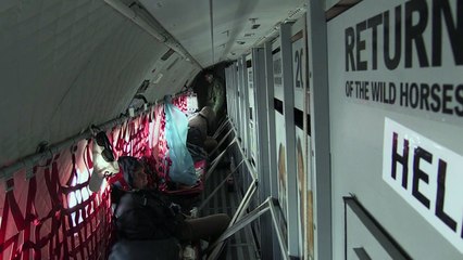 Les chevaux de Przewalski volent vers la Mongolie