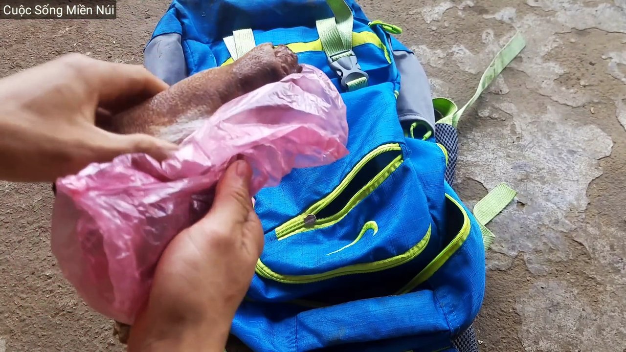 Survive in bamboo forest - Part 1: Leave home and begin the journey