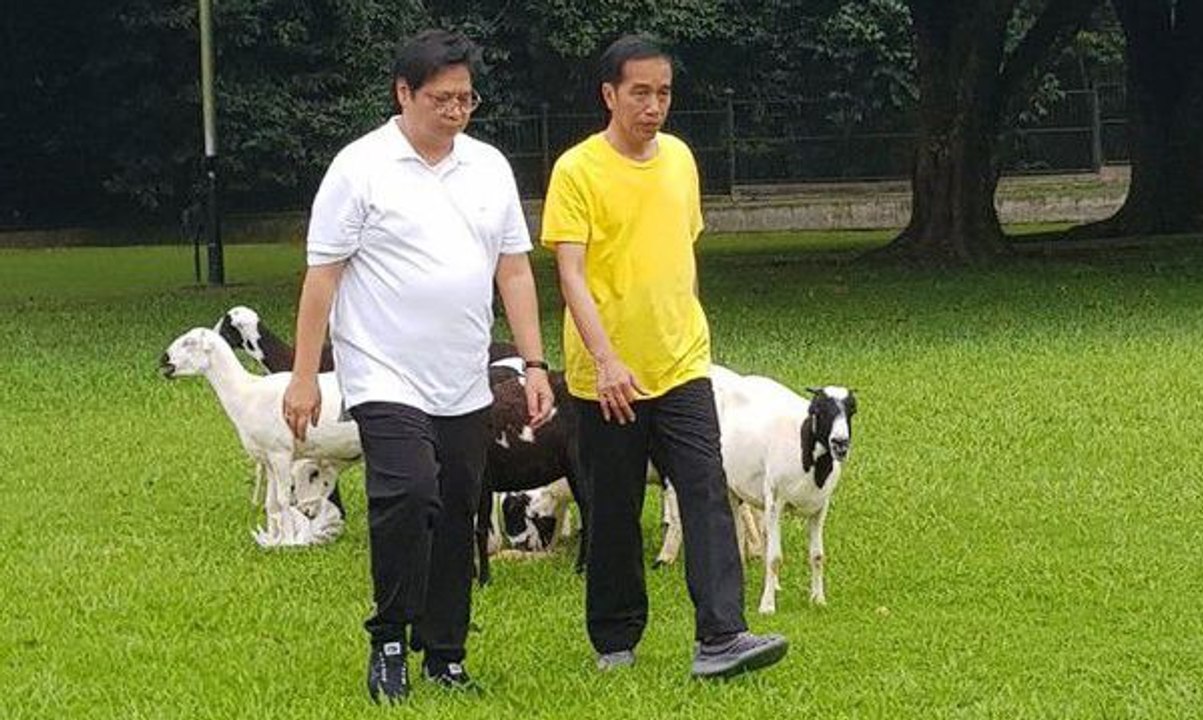 "Coattail Effect" terhadap Pemilu 2019