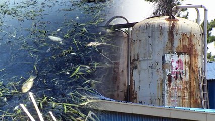 마을 주민 25명 암 발병...비료 공장 때문일까? / YTN