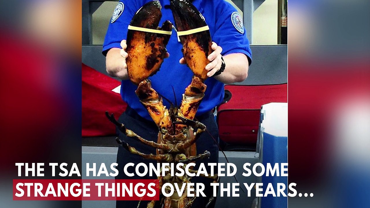 Most Bizarre Things Found By The TSA