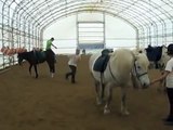 Guy Kicked Hard By A Horse