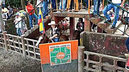COLEO COPA DE LA PAZ