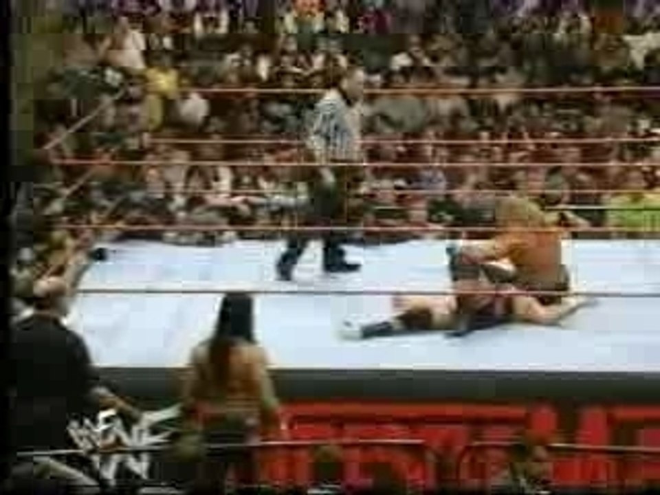 WrestleMania 14 Triple H vs Owen Hart
