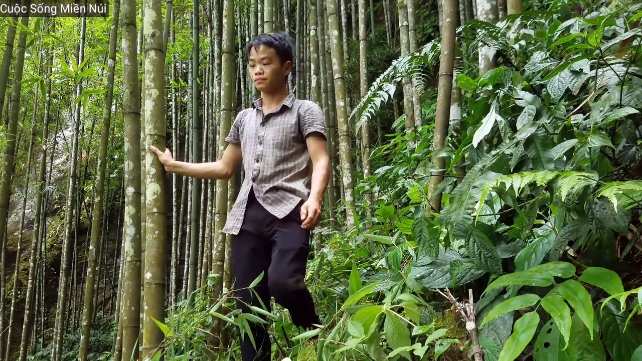 Survive in bamboo forest - Part 4: Made bamboo roofs