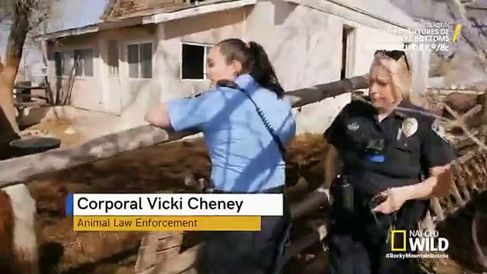 Rocky Mountain Animal Rescue S01E05 Pups Peril
