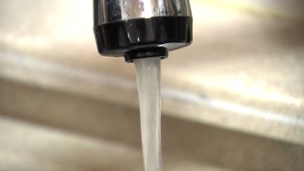 폭염에 물 부족 사태...평택지역 일부 수돗물 중단 / YTN