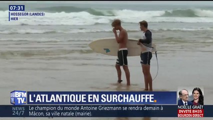 À Hossegor, l’Atlantique est aussi chaud que la Méditerranée