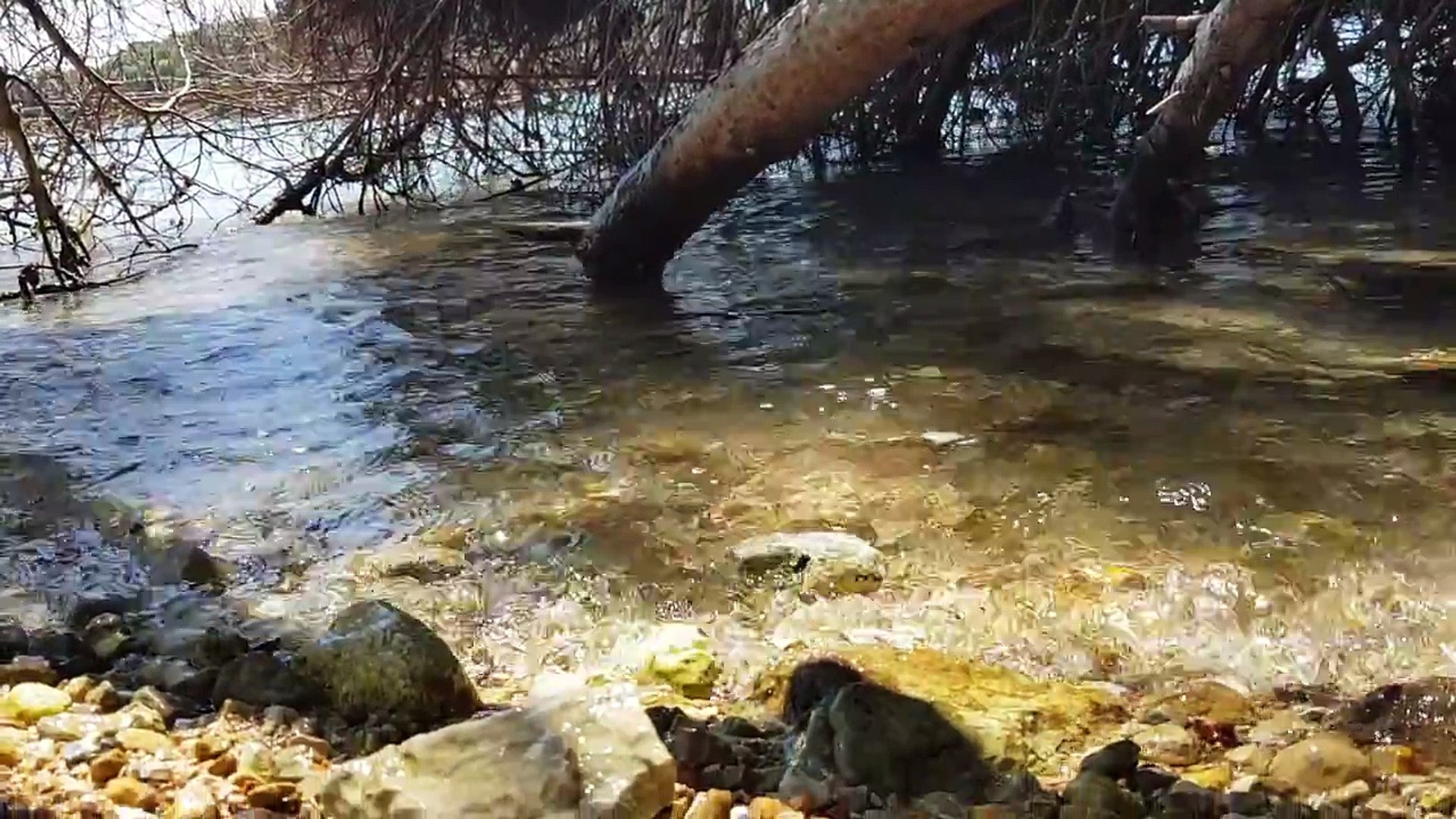 ⁣GREECE - Lefkada - Sounds of Nature 2018