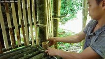 Survive in bamboo forest - Part 6: Making doors and stairs for bamboo houses