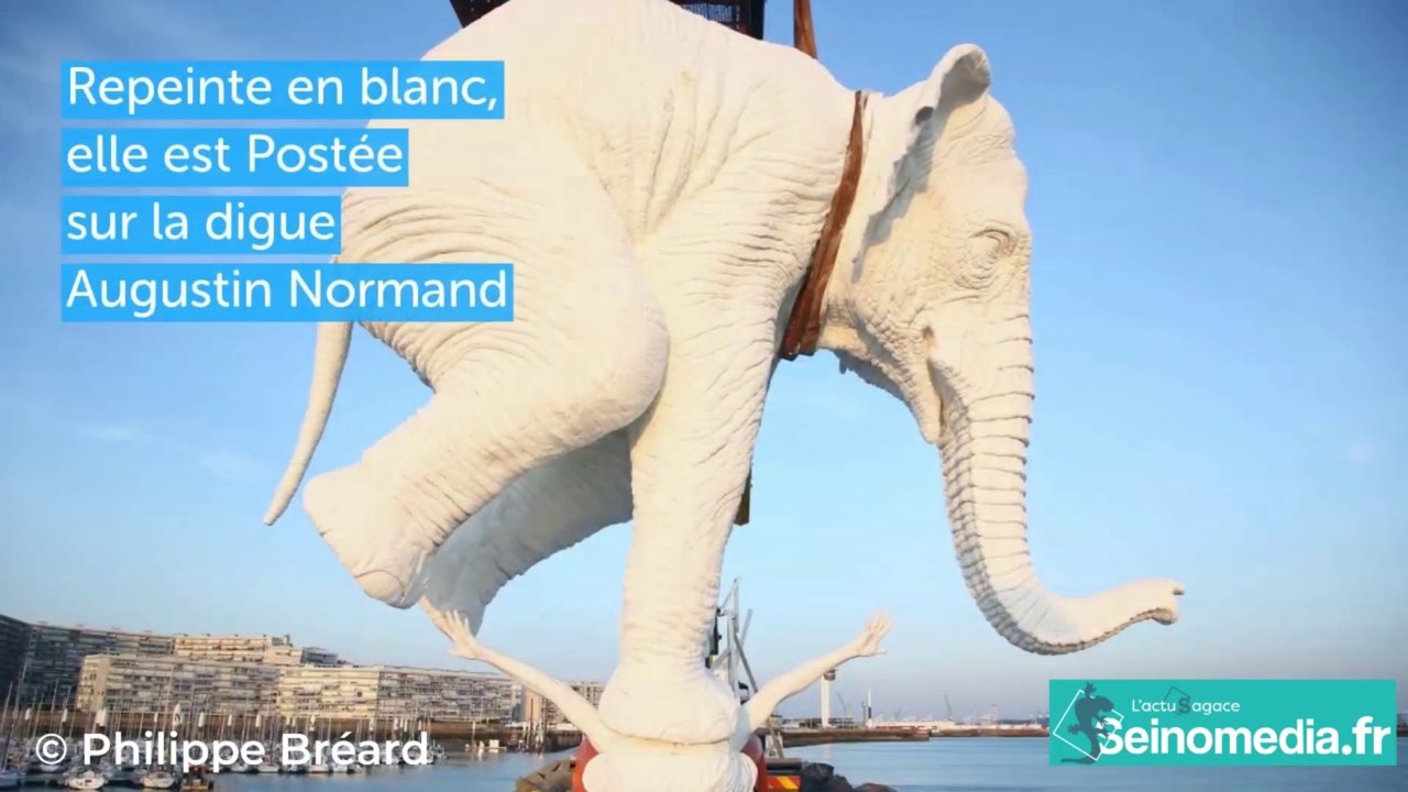 L'éléphant de Fabien Merelle est arrivé au Havre !