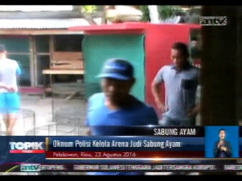 Oknum Polisi Kelola Arena Judi Sabung Ayam Digerebek
