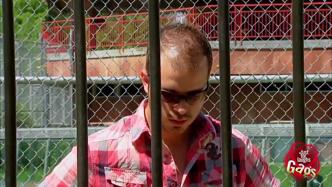 Scary Invisible Tiger Prank - Just For Laughs Gags