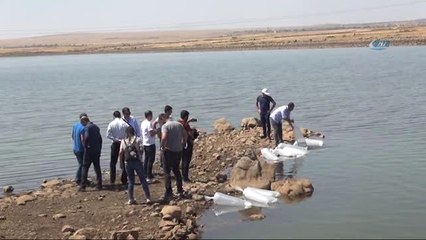 Terörün Yerini Huzura Bırakmasıyla Yaylalar ile Birlikte Nehir ve Göller de Şenlendi