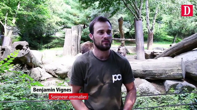 Le Parc Animalier des Pyrénées