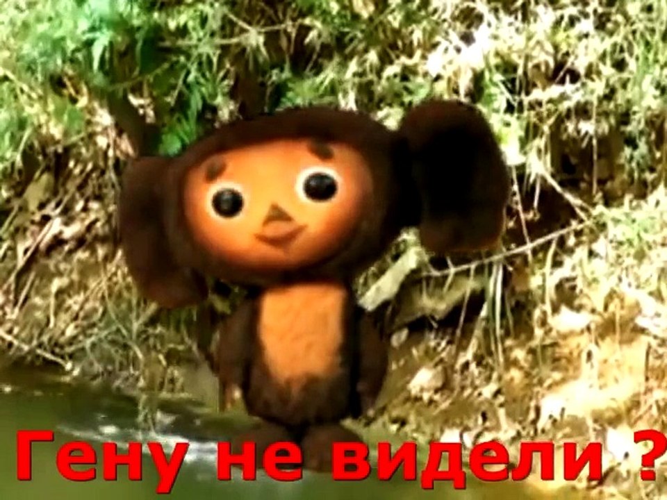 Гену не видели ?