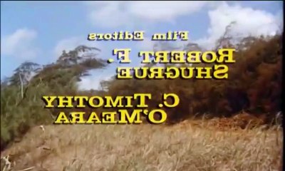 Les Oiseau  se cachent pour mourir S1E4 FRENCH   Part 01