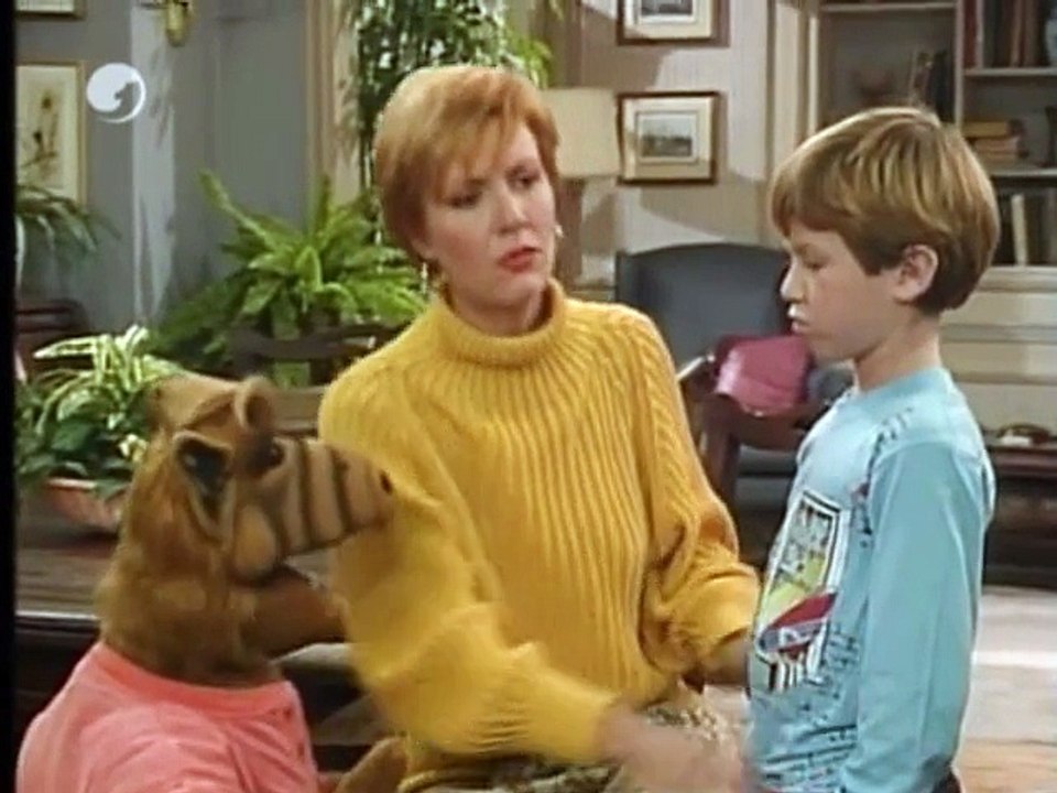 Alf Anwalt in eigener Sache