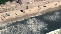 Noticia | Dos menores han sido atacados por un tiburón en dos playas diferentes de Nueva York