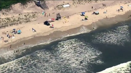 Download Video: Noticia | Dos menores han sido atacados por un tiburón en dos playas diferentes de Nueva York