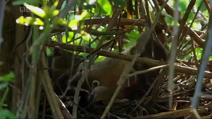IGUAZU FALLS - THE 8TH WONDER OF THE WORLD