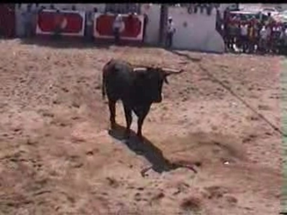 25_horas_toiros