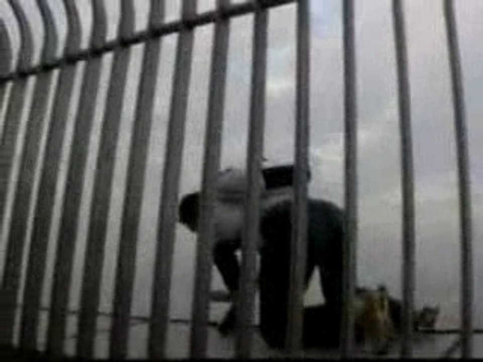 Base Jump de la Tour Taipei 101