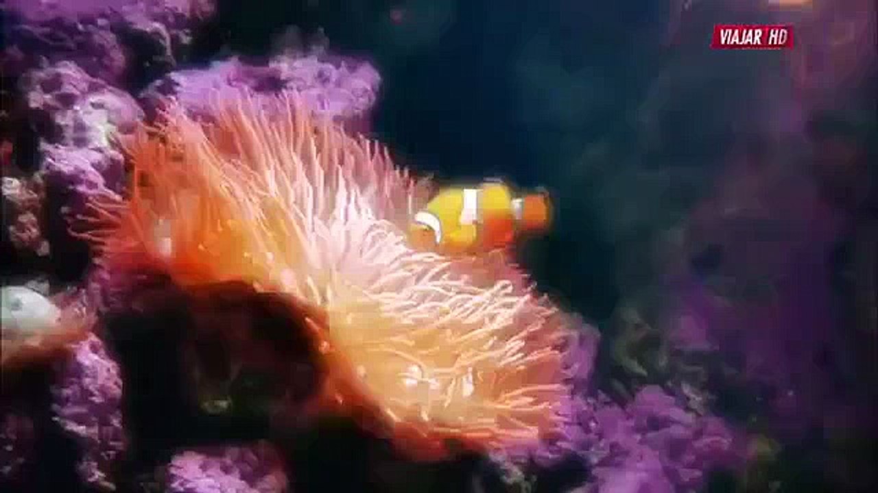 The Coolest Places On Earth S01 E04